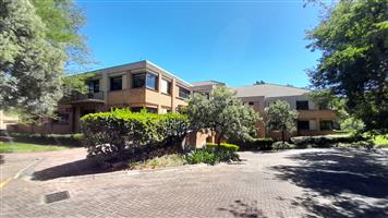 Ground Floor Scale with the Flexibility Modern Teams Need In Pretoria East
