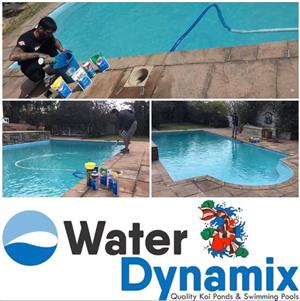 Water Dynamix JHB koi ponds, swimming pools and water features. for sale  Benoni