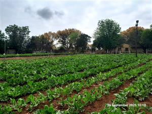 Mont Lorraine Smallholding with Water Rights – Ideal for Family Living and Farming