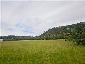 Vacant Land Residential For Sale in Ladybrand