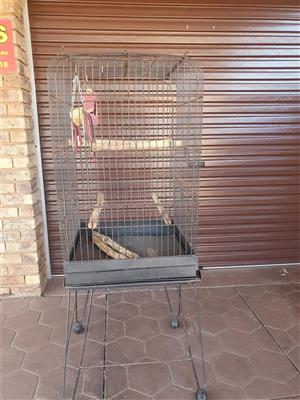 Parrot cage with stand