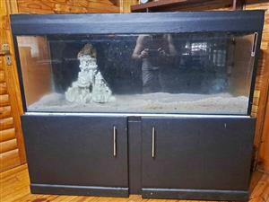 (1500x600x450) 410 Litter Fish Tank on metal frame with Dophin Canister Filter C1600 & extras