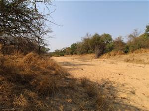 River front stand for sale in Moditlo