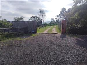 Small Holding For Sale in Drummond