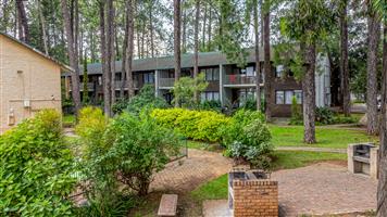 Effortless Lock‑Up‑And‑Go Apartment