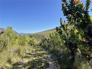 A lifestyle deep in the Tsitsikamma set between Garden Route and Baviaanskloof