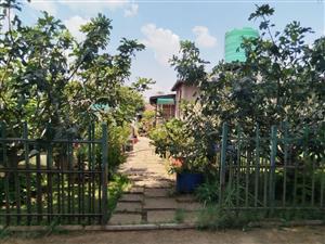 Small Holding For Sale in Bredell