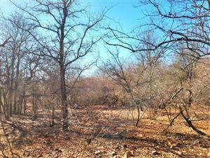 Vacant Land with Parklands