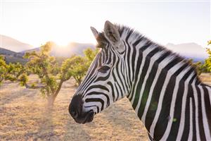 House For Sale in Klein Parys