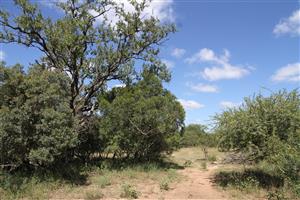 Vacant stand for Sale