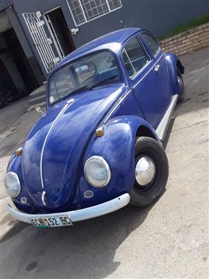 Beetle VW 1970