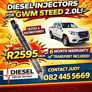 GWM Steed 2.0L Diesel Injectors for sale