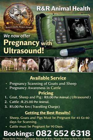 Ultrasound Service