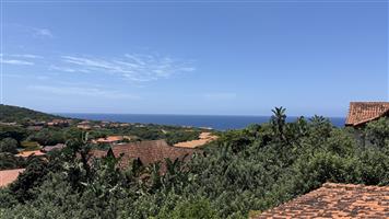 Elegant Coastal Living in Zimbali Estate