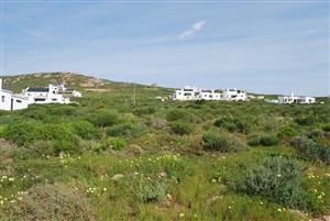 Nature and Sea on Your Doorstep in St Helena Views