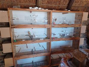 Bird breeding cages with nest 