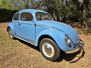 1956 Volkswagen Oval Beetle