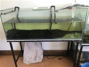 Fish Tanks different sizes