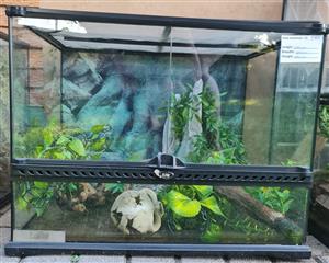 Exo Terra Enclosures