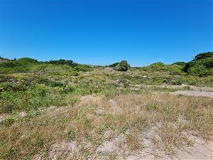 Opportunity Knocks in Paradise Beach, Jeffreys Bay