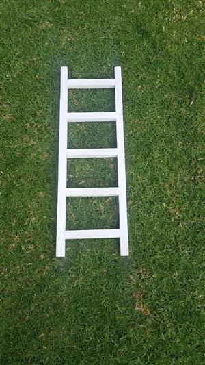 Paw Patrol Ladder for hire