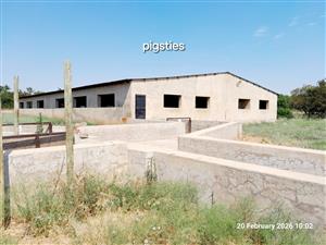 PIGGERY for 2000 pigs, CATTLE kraal, CHICKEN free range, HORSE STABLE - 3 Bedroom house