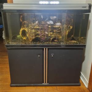 Complete fish tanks for sale