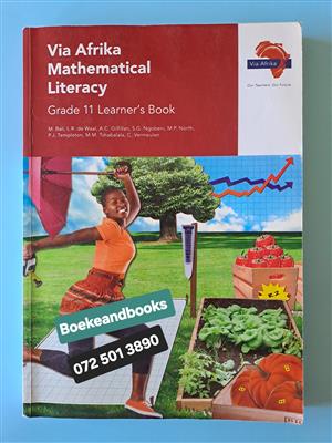 Grade 11 - Via Afrika Mathematical Literacy - Learner's Book - M Bali.