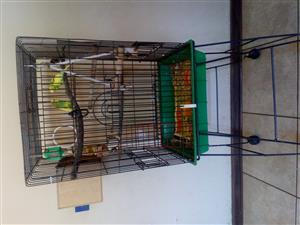 Bird cage with wheels 