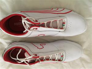 Red and white pumas
