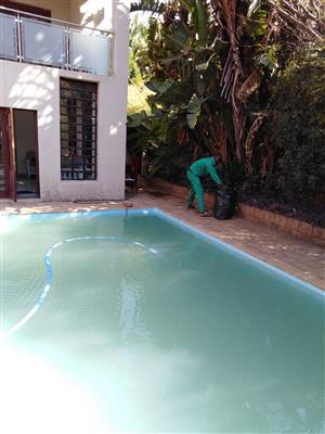 Pool repairs and Cleaning Services 