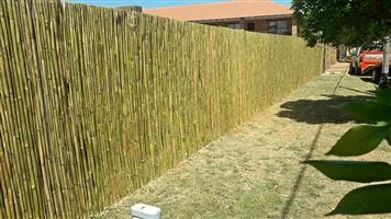 Wattle and bamboo stick fence