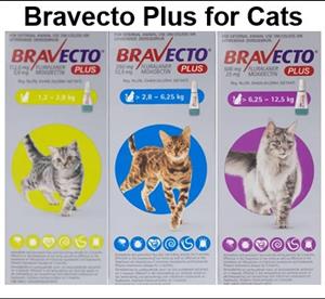 Grab Cat's Topical Solution - Bravecto Plus			