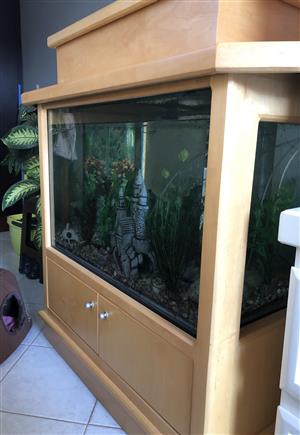 Maple wood fish tank