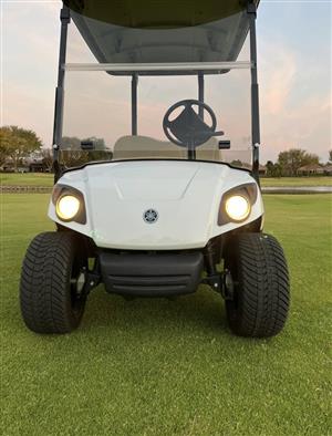 2 and 4 Seats Golf Carts for home and Estate 