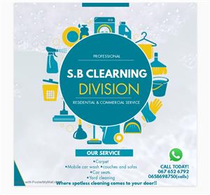 Something big cleaning division.