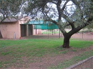 3 Bedroom house in Buffelsdrift to rent