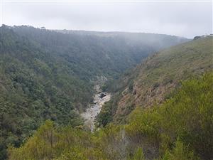 North facing stand on the Gwaing river