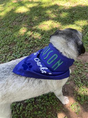 WELCOME TO SEATON ESTATE - PRECINCT H - THE KNOLL