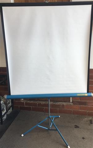 Projector Screen - Mobile screen on Stand