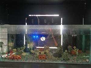 Fish tanks for sale junkmail best sale