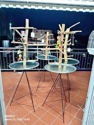 Parrot play stands