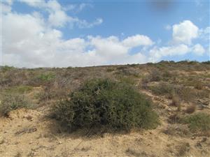 Beautifull stand with Beatifull view