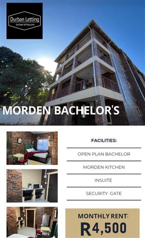 Bachelor Flat to let
