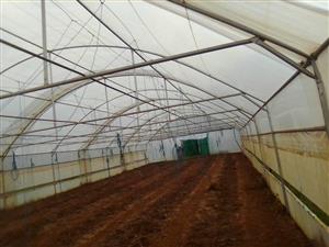 Greenhouse tunnels , chicken houses and steel structures