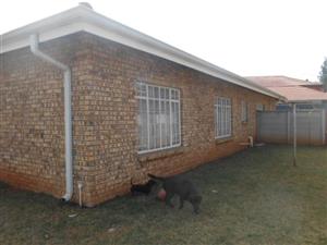 Sole Mandate - Two Houses For The Price Of One!!! Face-brick.  Pan Handle, Super safe.  Arcon Park. Vereeniging.  