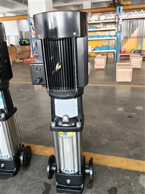 Vertical multistage pumps 