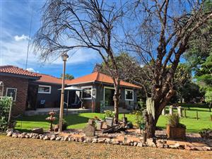 Kammaland se Beste Bewaarde Geheim – Bosveld-lewe op sy Mooiste