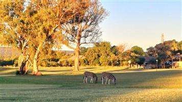 PRESTIGIOUS 1507m2 DEVELOPER STAND WITH EXCLUSIVE GREEN BELT FEATURES!