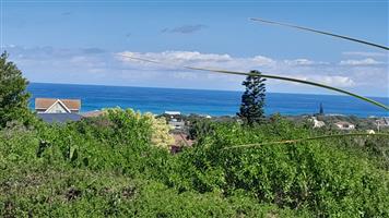 Build Your Dream Home with Sea Views in Forest Downs